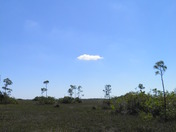Everglades National Park