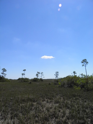 Everglades National Park