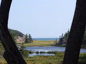 Acadia National Park 