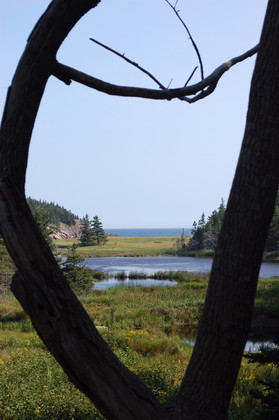 Acadia National Park 