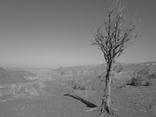 Grand Canyon National Park