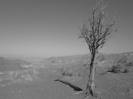 Grand Canyon National Park