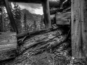 Weminuche Wilderness Area