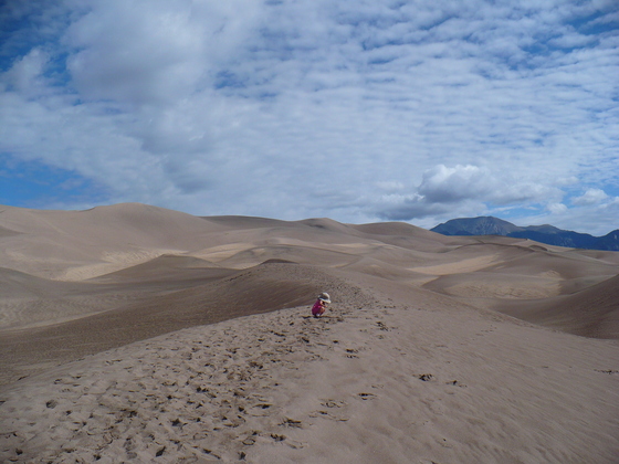 Great Sand Dunes National Park