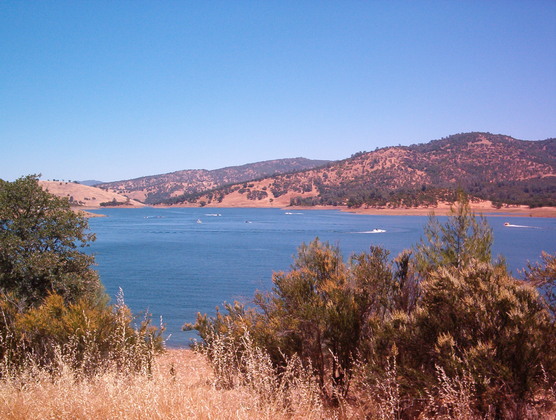 New Hogan Lake