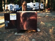 Yosemite National Park