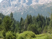 plumas national forest