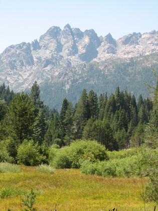 plumas national forest