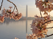National Mall/Tidal Basin 