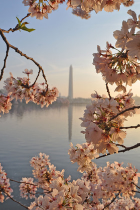 National Mall/Tidal Basin 