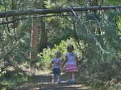 Sequoia National Park
