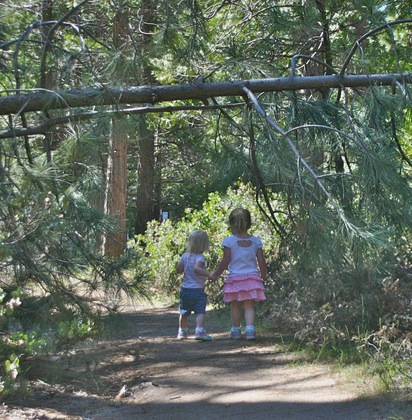 Sequoia National Park