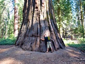 Yosemite National Park