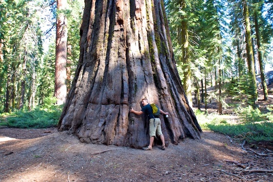 Yosemite National Park