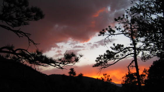 Orilla Verde Area