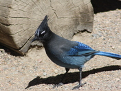 Rocky Mountain National Park