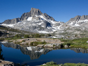 Inyo National Forest
