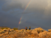 Joshua Tree National Park