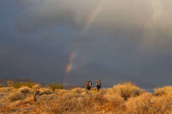 Joshua Tree National Park