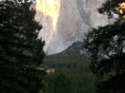 Yosemite  National Park