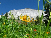 Klamath National Forest - Marble Mtn. Wilderness
