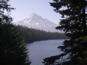 Mt. Hood National Forrest