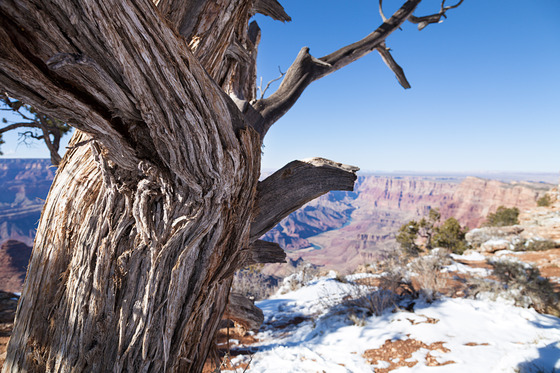 Grand Canyon National Park