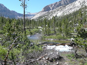 Inyo National Forest