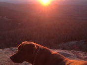 Pisgah National Forest