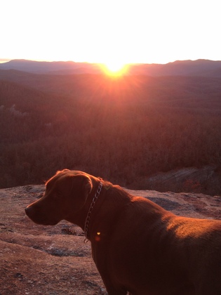 Pisgah National Forest