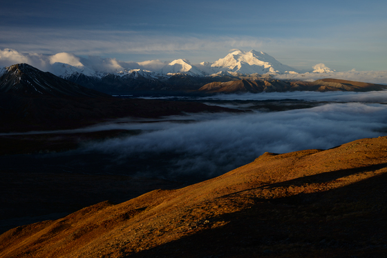 Denali National Park