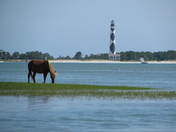 Cape Lookout National Seashore