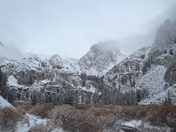 Sequioa National Park