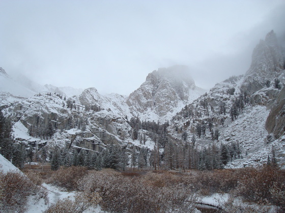 Sequioa National Park