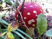 Rocky Mountain National Park