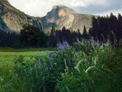 Yosemite National Park