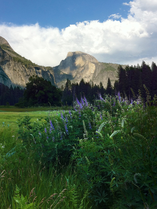 Yosemite National Park