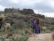 Saguaro National Park