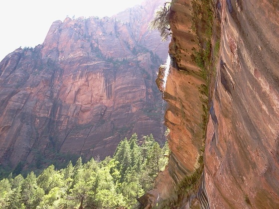 Zion Nat Park