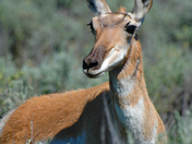 Grand Teton National Park