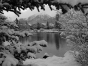 Winter wonderland in Canmore, AB