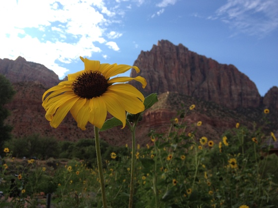 Zion National Park