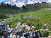 Mt. Ranier National Park