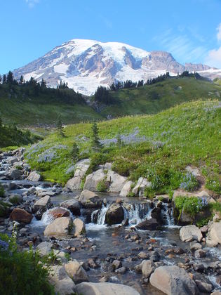 Mt. Ranier National Park