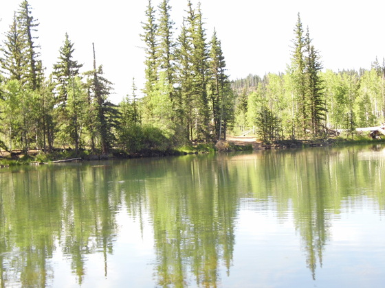 dixie national park 