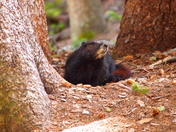 Grand Teton National Park