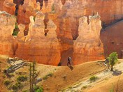 Bryce Canyon National Park