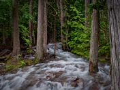 Glacier National Park