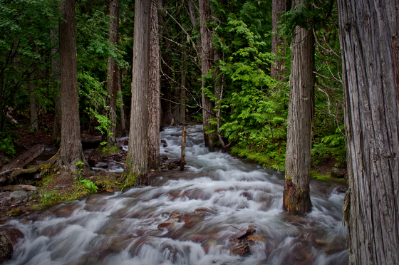 Glacier National Park
