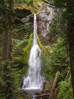 Olympic National Park
